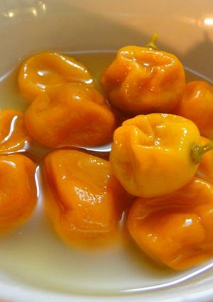 Hình của món Quất (tắc) ngâm đường phèn.