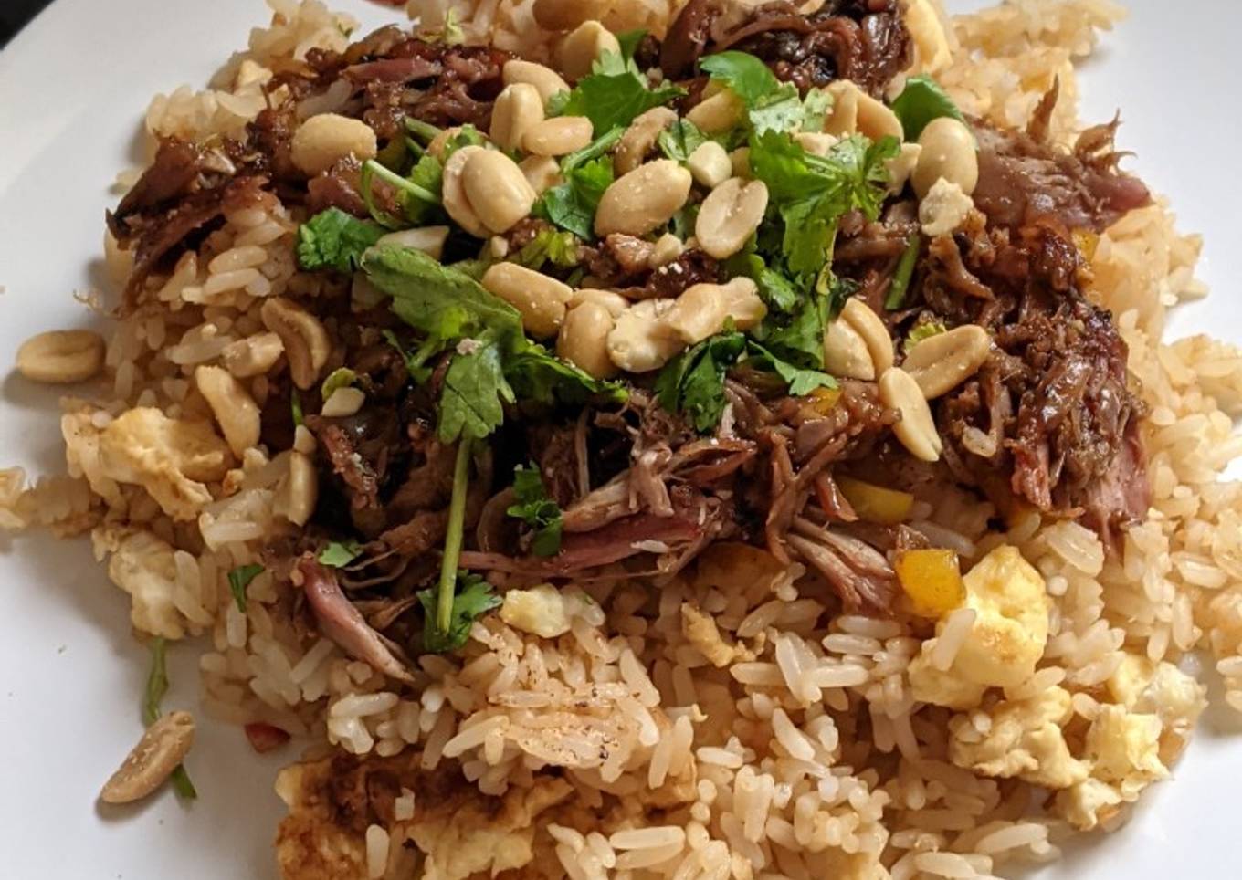 Teri-quacki duck with egg fried rice