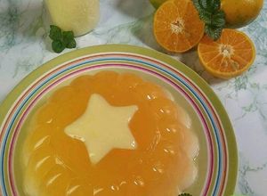 Foto resep Pudding Busa Jeruk