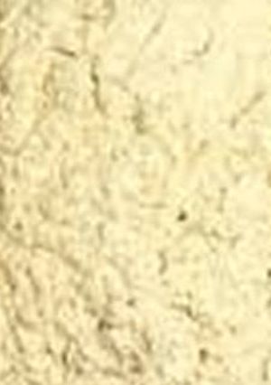 صورة لوصفة طريقة عمل ثوم بودر