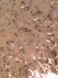 hamburger milk gravy