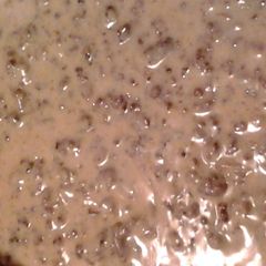 A picture of hamburger milk gravy.