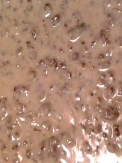 A picture of hamburger milk gravy.