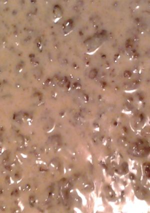 A picture of hamburger milk gravy.