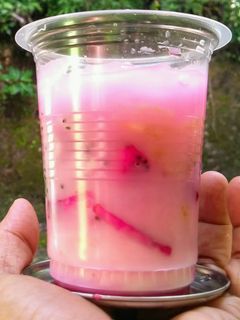 Foto resep Es Buah Naga
