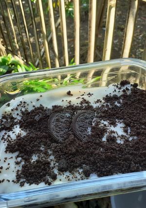 Foto resep Oreo Dessert Box irit bahan