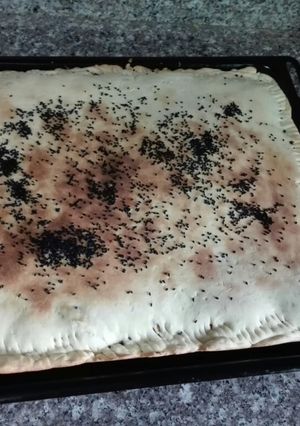صورة لوصفة فطيرة تركيه باللحم