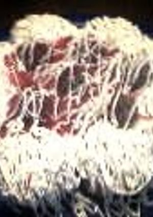 A picture of take it easy strawberry shortcake.