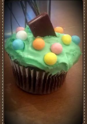 A picture of kaylas mint chocolate cupcakes.