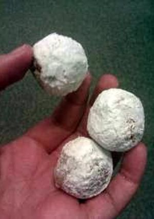 A picture of Easy donut holes.