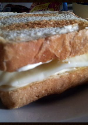 A picture of GEROMEs Sandwich.