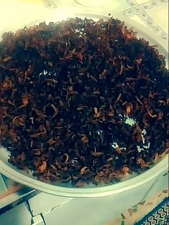 عکسی از دستور چای به
