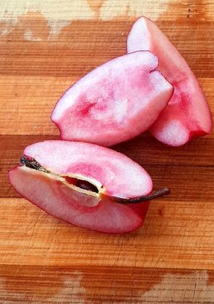 عکسی از دستور خشک کردن سیب به صورت سنتی