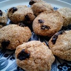 A picture of Easy Okara Cookies!.