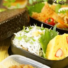 A picture of A Delicious Dish From Shonan, Kanagawa: Kettle-cooked Shirasu Rice Bowl Bento.