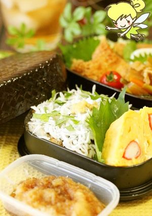 A picture of A Delicious Dish From Shonan, Kanagawa: Kettle-cooked Shirasu Rice Bowl Bento.