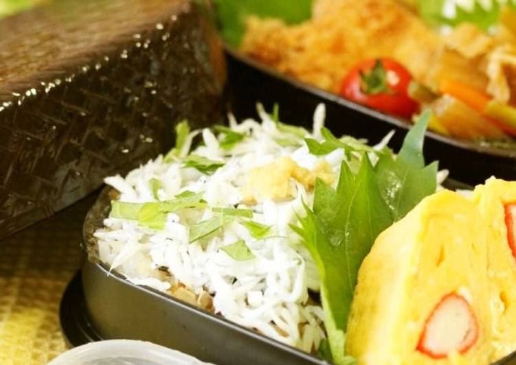 Recipe of Speedy A Delicious Dish From Shonan, Kanagawa: Kettle-cooked Shirasu Rice Bowl Bento