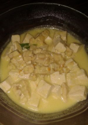 Foto resep Lodeh tahu tempe