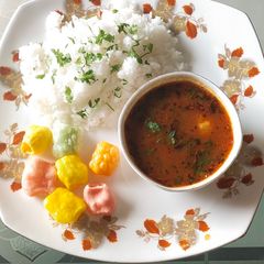 A picture of Sindhi curry chawal.