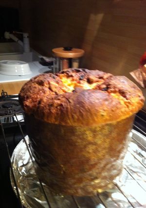 A picture of Traditional milanese panettone.