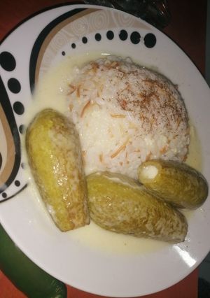 صورة لوصفة كوسا بلبن(أبلما) او (شيخ المحشي)