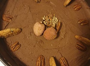 صورة لوصفة Cheesecake شيز كيك