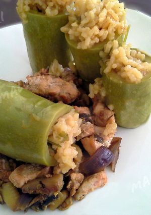 A picture of Egyptian mashi cosa (stuffed squash) with chicken vegetable stir fry.