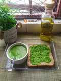 Pesto Gajus