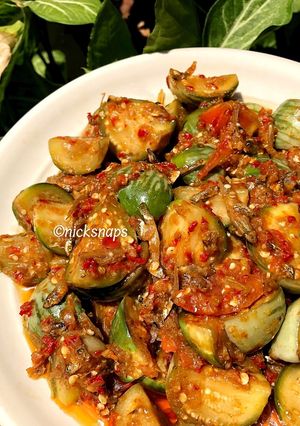 Foto resep Tumis Terong Batik Teri