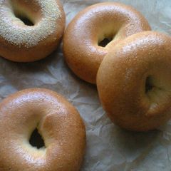 Corn Bagels A picture of Corn Bagels.