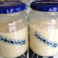 A picture of Shio-Koji How to Make Shio-Koji with Sea Salt and Rock Salt.