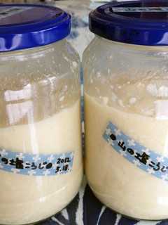 A picture of Shio-Koji How to Make Shio-Koji with Sea Salt and Rock Salt.
