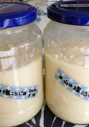 A picture of Shio-Koji How to Make Shio-Koji with Sea Salt and Rock Salt.