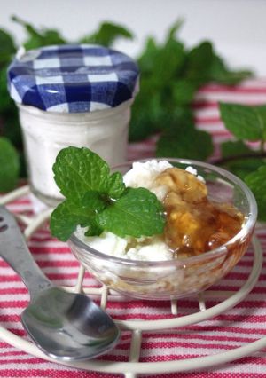 A picture of Homemade Soy Milk Cottage Cheese.