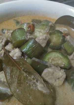 Foto resep Terong tempe masak santan