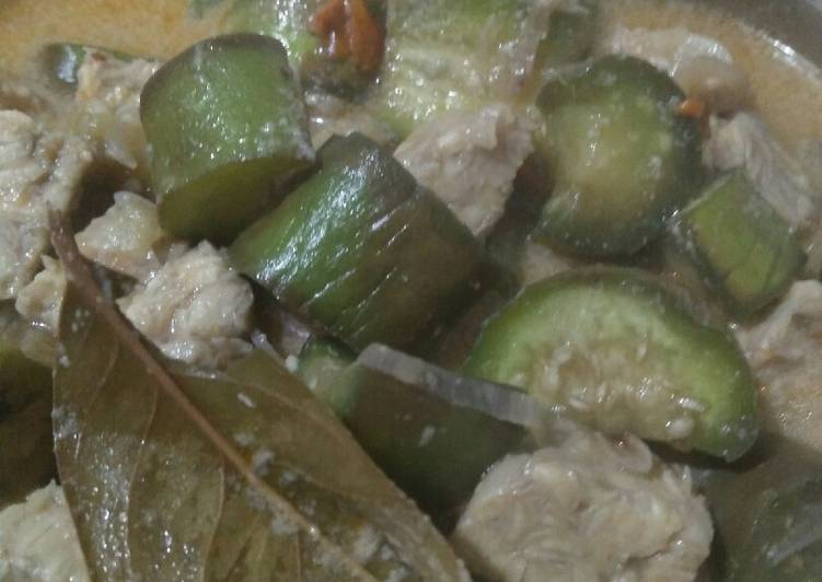 Langkah Mudah untuk Membuat Terong tempe masak santan yang nikmat