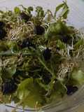 Ensalada de berros, arúgula, germinado de soya y ciruela seca y ajonjolí