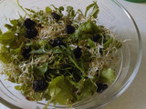 Ensalada de berros, arúgula, germinado de soya y ciruela seca y ajonjolí