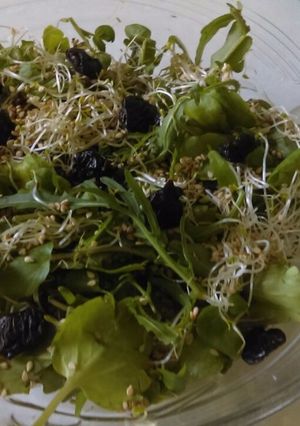 Una foto de Ensalada de berros, arúgula, germinado de soya y ciruela seca y ajonjolí