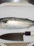 How to fillet a fish (3-layer filleting) - For Mackerel