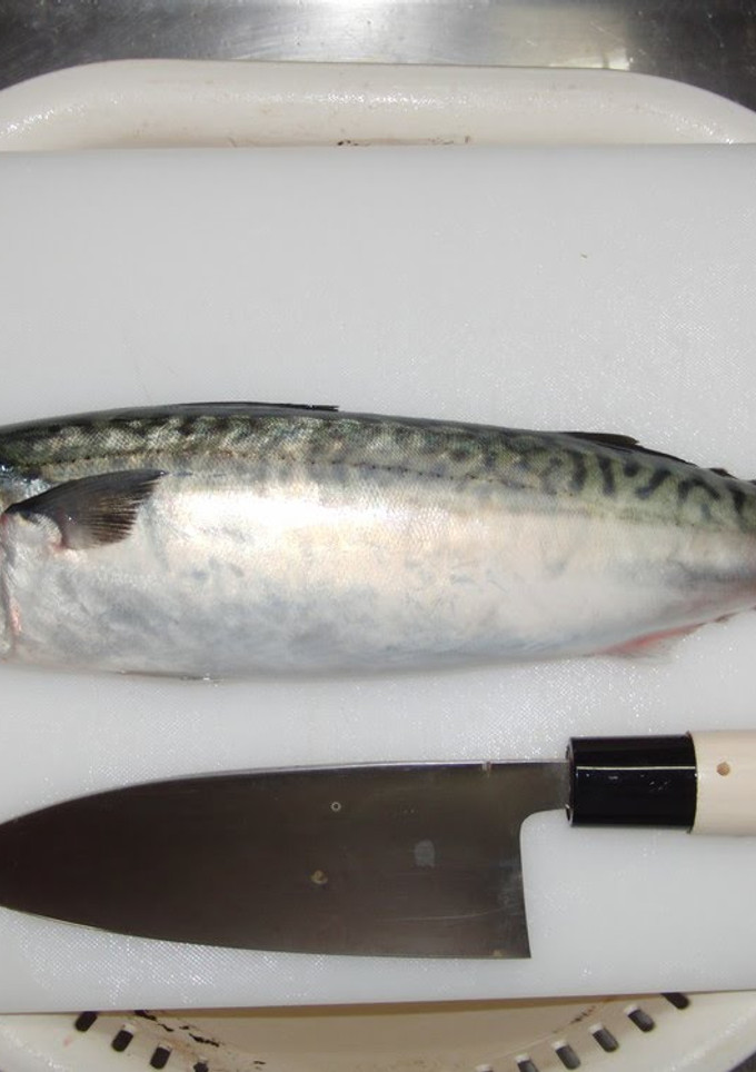 A picture of How to fillet a fish (3-layer filleting) - For Mackerel.