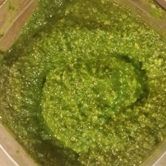 A picture of Pesto.