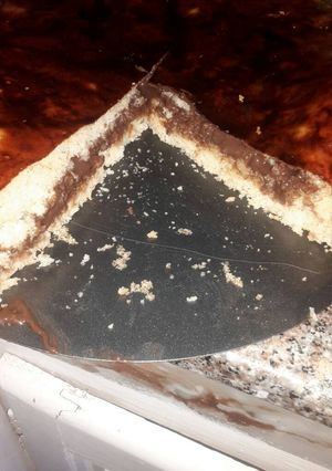 صورة لوصفة بريوش سايل