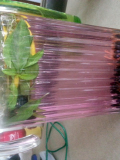 A picture of Blueberry & basil Infused water.