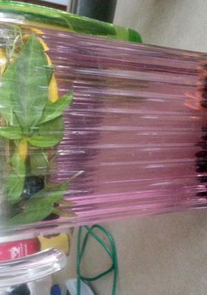 A picture of Blueberry & basil Infused water.