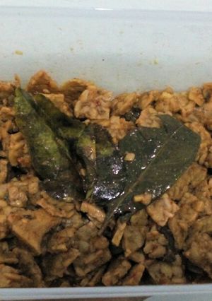 Foto resep Kering Tempe Pedas Manis