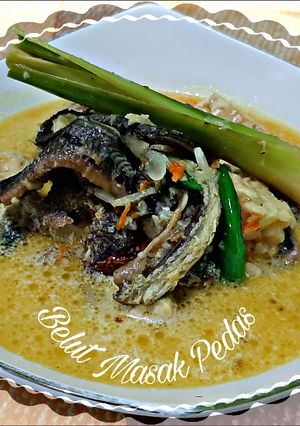 Foto resep 39. Belut Masak Pedas