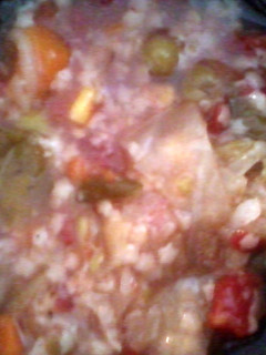 A picture of cabbage vegetable soup.