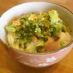 A picture of Ham and Egg Rice Bowl with Sweet Cabbage.