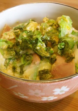 A picture of Ham and Egg Rice Bowl with Sweet Cabbage.